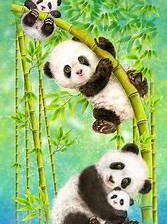 Схема вышивки «Панды»