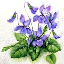 Схема вышивки «Фиалка маленькая»