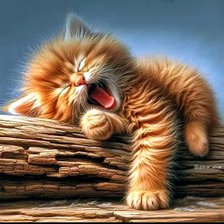 Схема вышивки «Кошки»