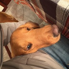 Схема вышивки «CAPITAN»