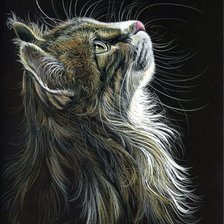 Схема вышивки «Кот»