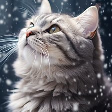 Схема вышивки «Кот»