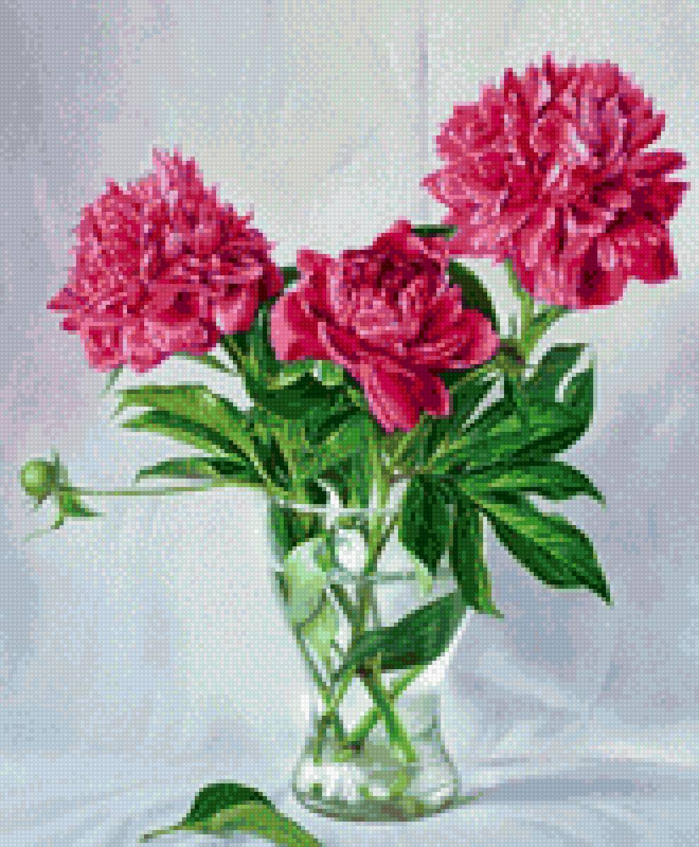 Пионы - предпросмотр