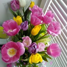 Схема вышивки «Тюльпаны»