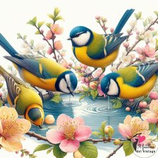 Схема вышивки «синицы»