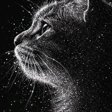 Схема вышивки «Котик»