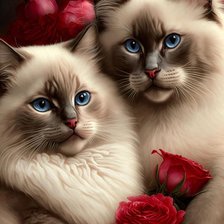 Схема вышивки «Сиамские кошки»