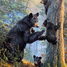 Схема вышивки «утро в сосновом бору -2»