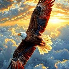 Схема вышивки «орел»