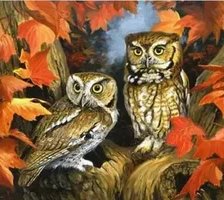 Схема вышивки «Совушки»