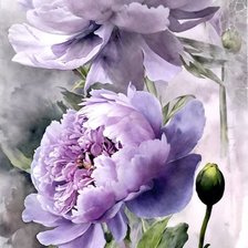 Схема вышивки «Пионы»