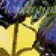 Предпросмотр схемы вышивки «Цветы» (№2879242)
