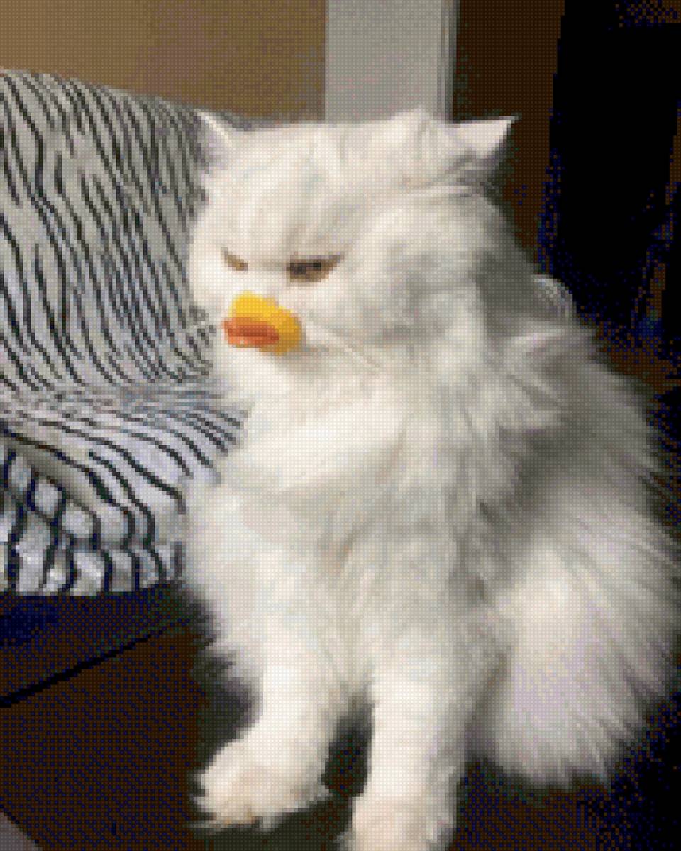 Mèo Mỏ Vịt - meomeo - предпросмотр