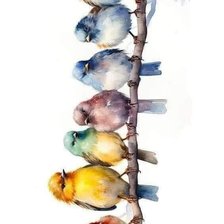 Схема вышивки «Акварельные птицы»