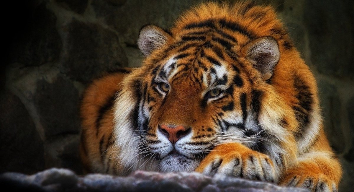 №2880125 - оригинал