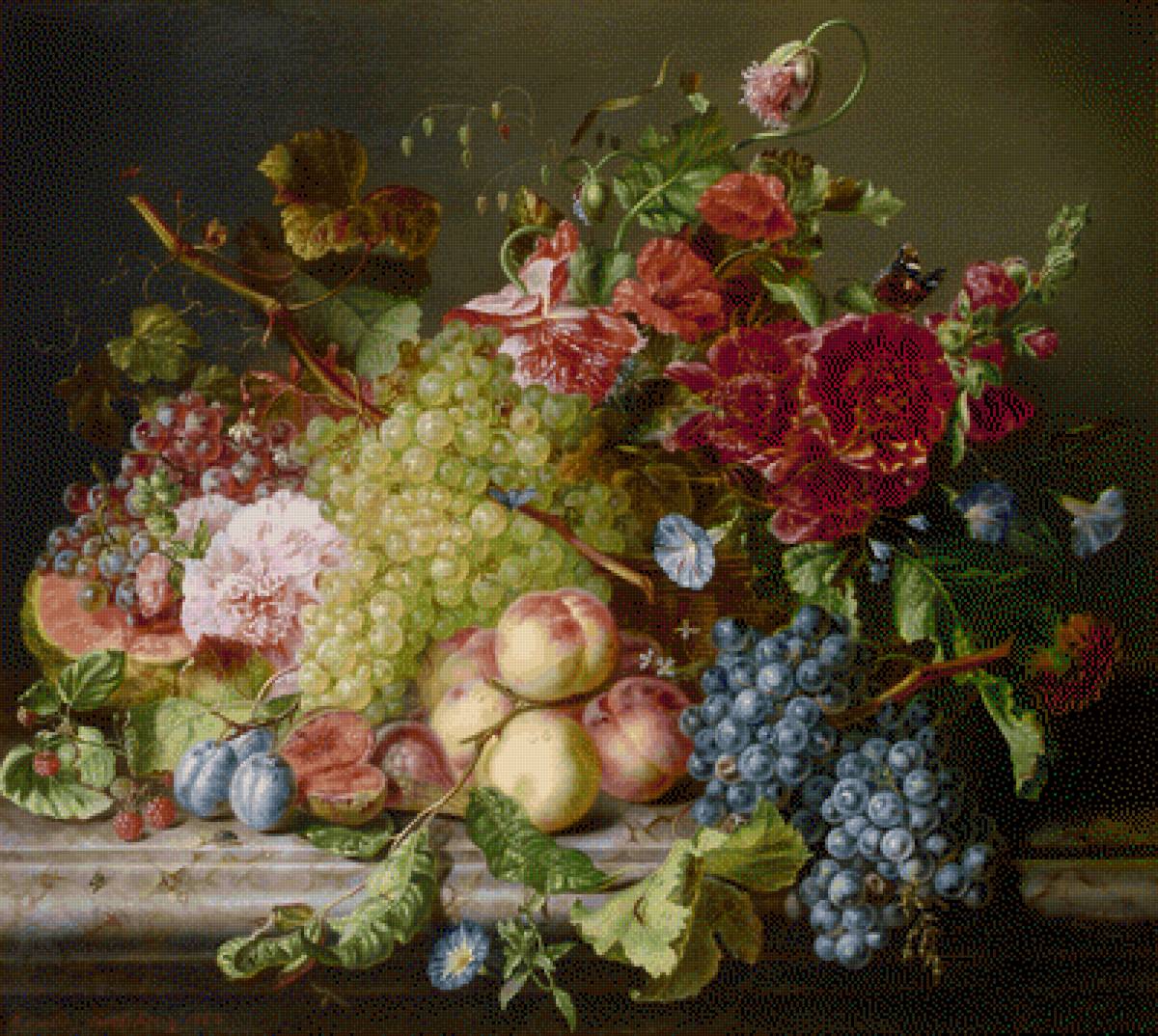 Grapefruit - still life - предпросмотр