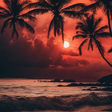 Схема вышивки «Море пальмы»