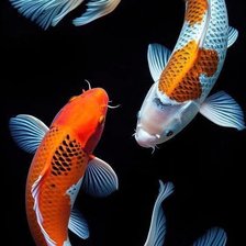 Схема вышивки «Рыба»