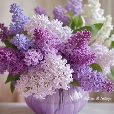 Схема вышивки «Сирень»