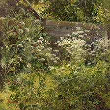 Схема вышивки «заросший сад»