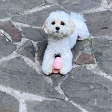 Схема вышивки «Мими»