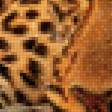 Предпросмотр схемы вышивки «леопард,гепард» (№2880936)