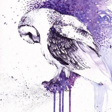 Схема вышивки «Сова»