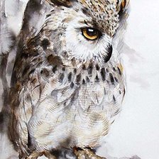 Схема вышивки «Сова2»