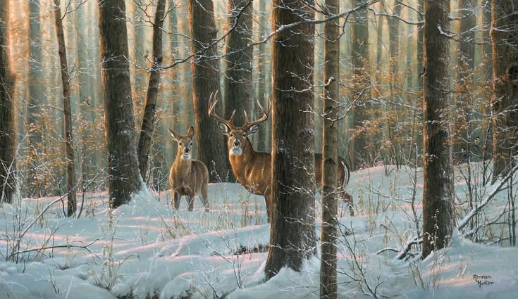 №2881642 - оригинал