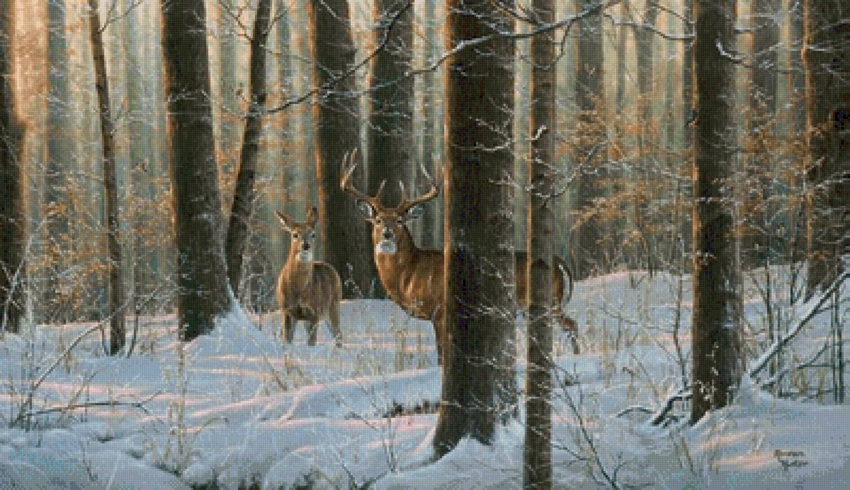 №2881642 - предпросмотр