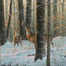 Схема вышивки «№2881642»