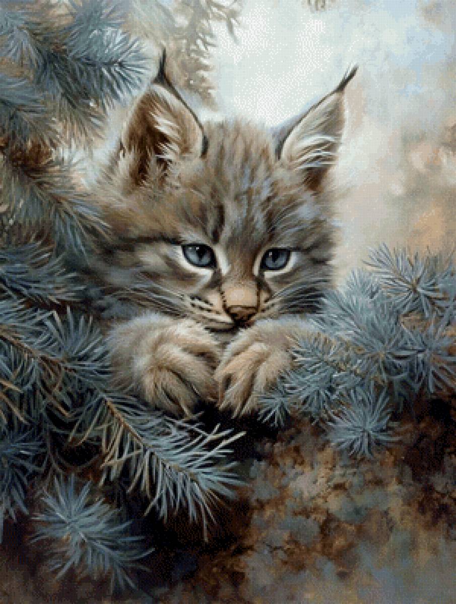 Лесная красавица - предпросмотр