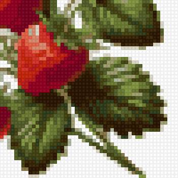 Truskawka - предпросмотр