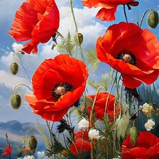 Схема вышивки «Маки»