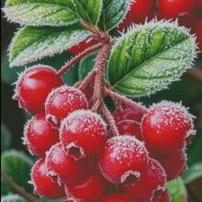 Схема вышивки «№2882563»