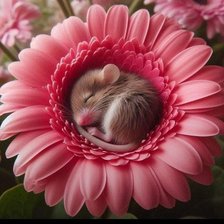 Схема вышивки «Полуденный сон»