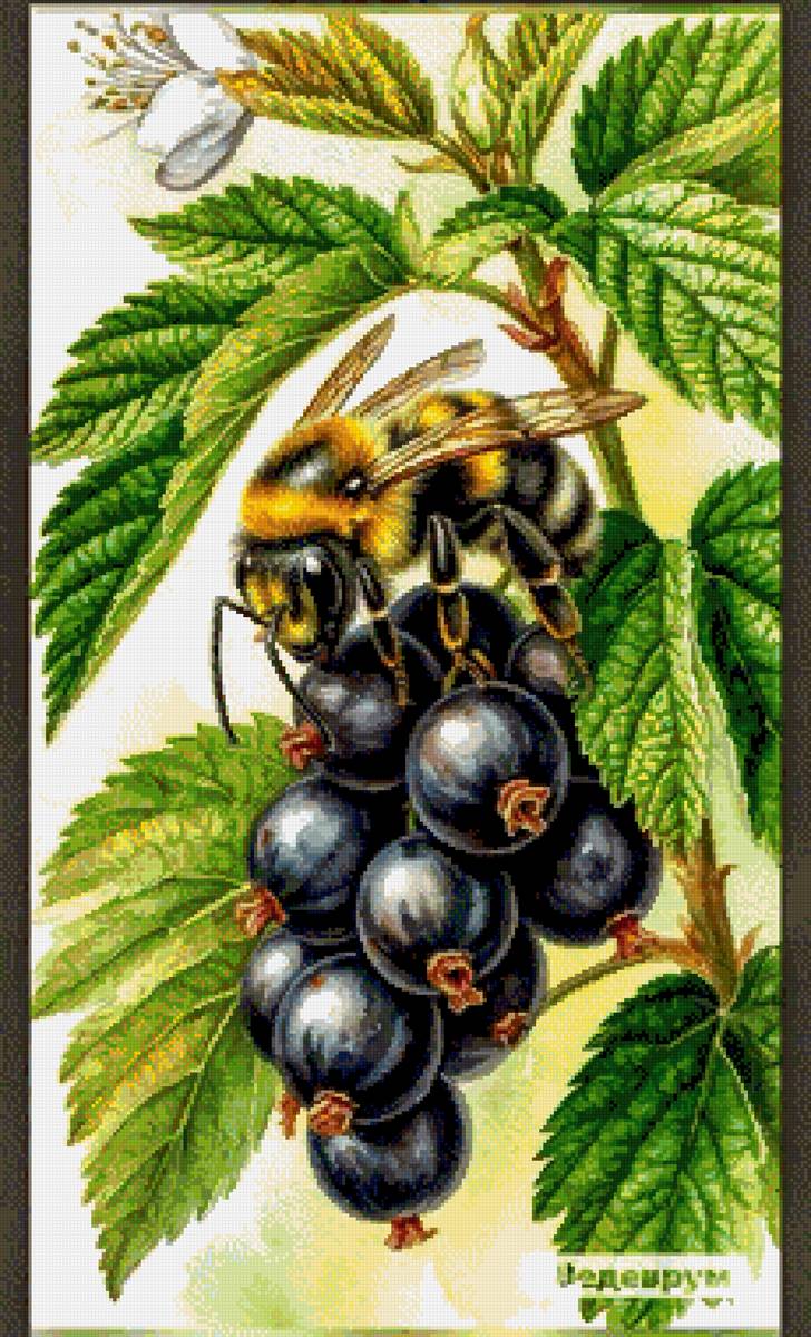 Ягоды - пчелы - предпросмотр