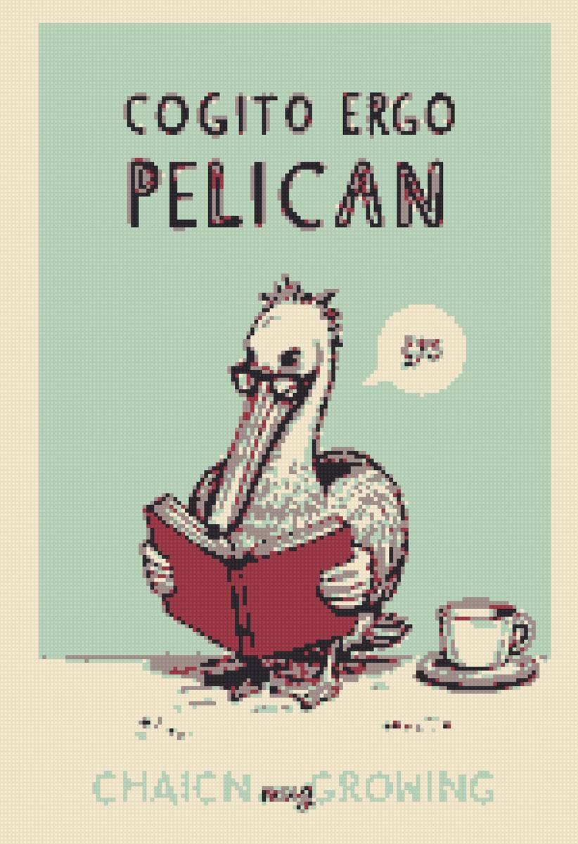 Пеликан - пеликан - предпросмотр