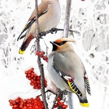 Схема вышивки «Свиристели»