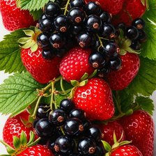 Схема вышивки «№2884536»