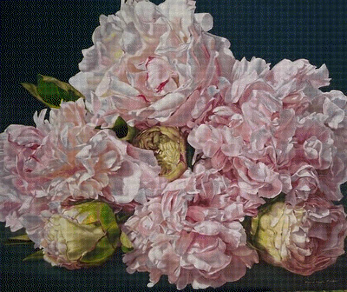 пионы - цветы, букет, пионы, розы - предпросмотр