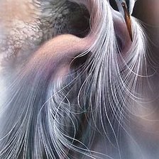 Схема вышивки «Цапли»