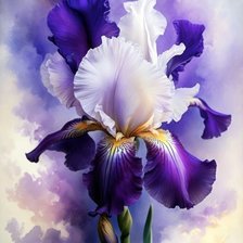 Схема вышивки «Ирис»