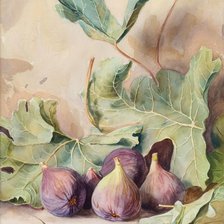 Схема вышивки «Инжир»