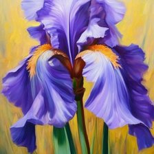 Схема вышивки «Ирис»