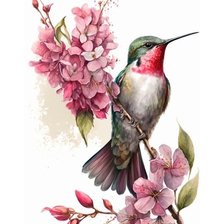 Схема вышивки «Колибри»