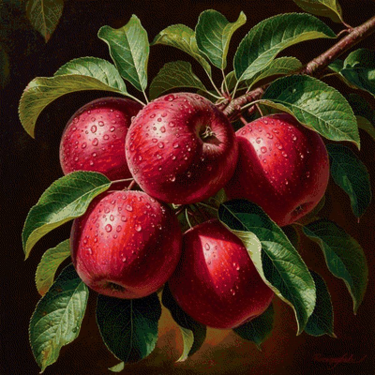 яблоки - предпросмотр