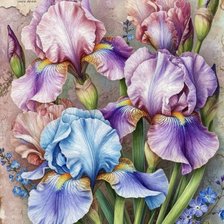 Схема вышивки «Ирисы»