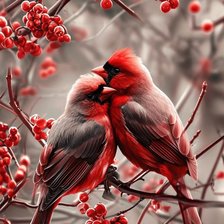 Схема вышивки «Птички»