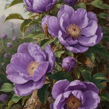 Схема вышивки «Цветы»